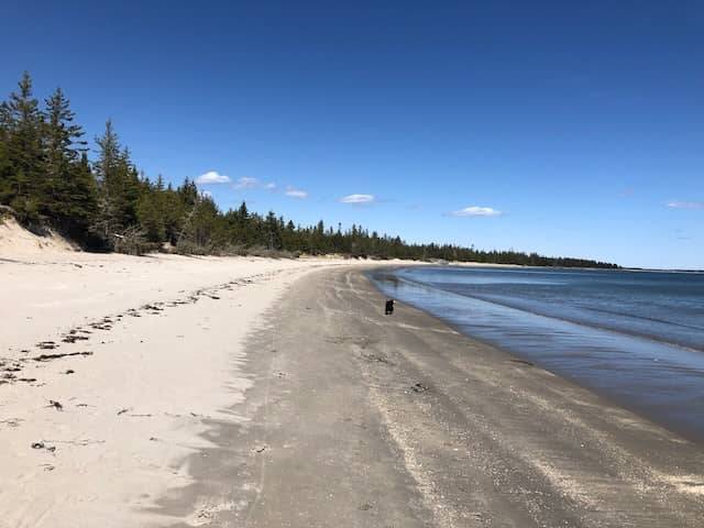 The beaches on the south shore are flat and a great place to go and play with the family, there are so many to choose from, there are child friendly beaches and dog friendly beaches
