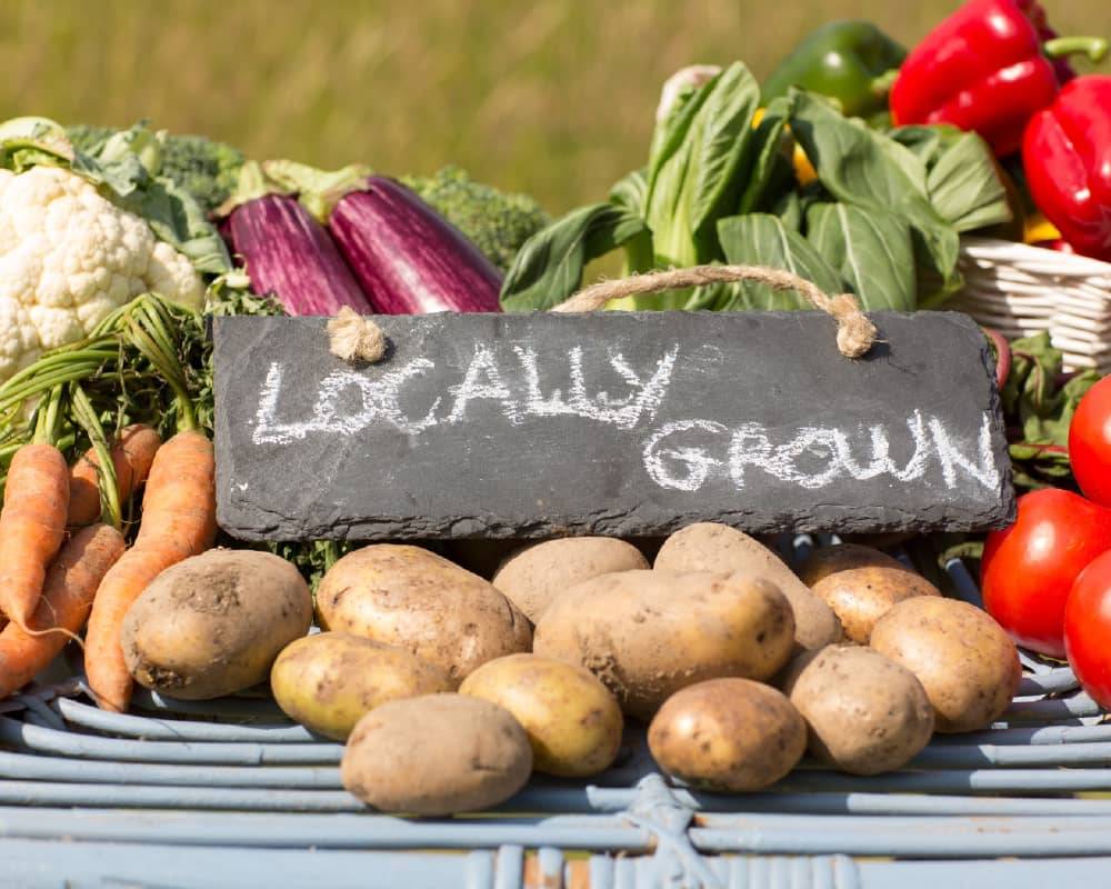 Who doesn't like to eat fresh food? There are local Farmers markets both within Bridgewater and within a 20 minute drive - such that you can go to a farmers market several days per week - and there is even a year round farmers market in Lunenburg only 20 minute drive a way.